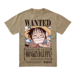 One Piece - Monkey D. Luffy Reward